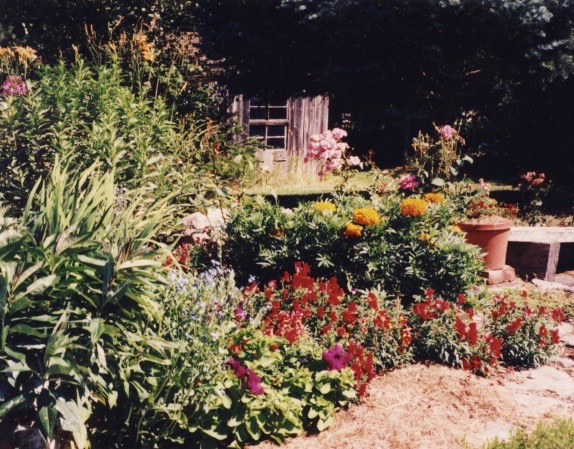 garden (1)